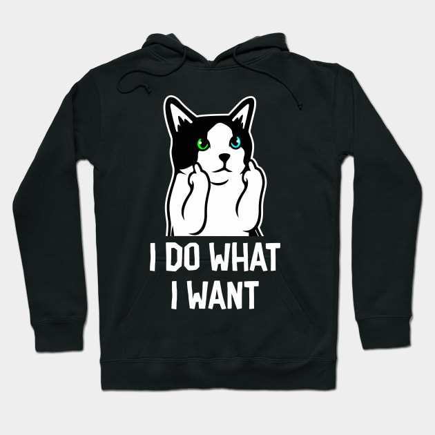 What I Want Hoodie by machmigo